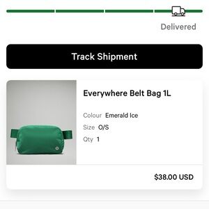 Everywhere Belt Bag 1L
